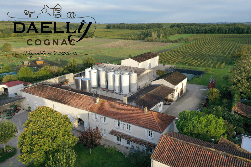 Exploration de la vigne au chai